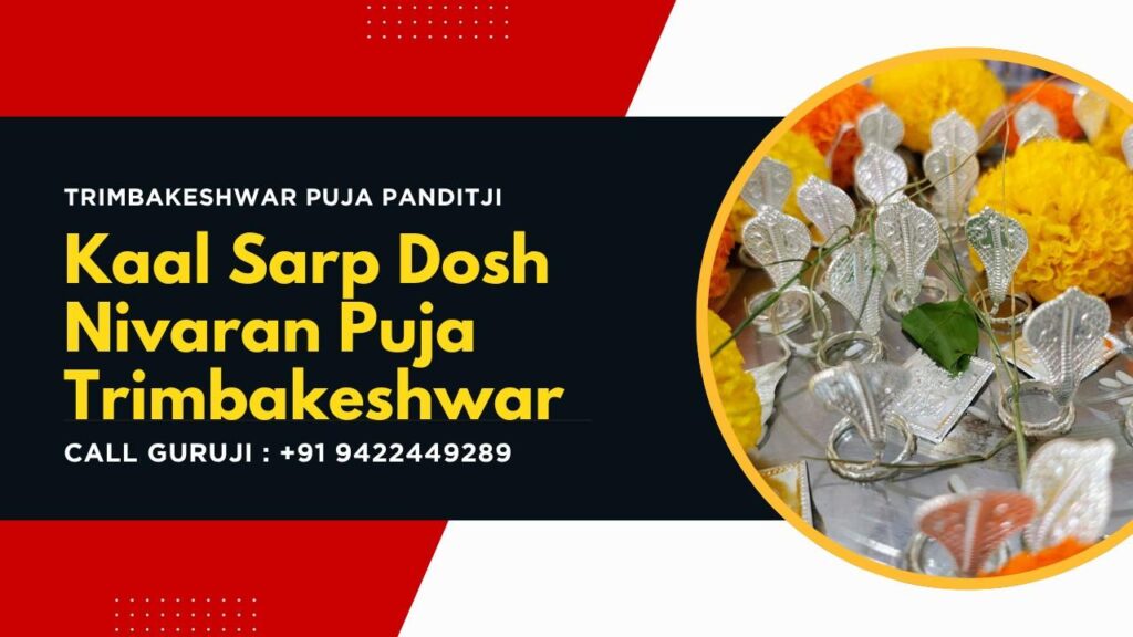 Kaal Sarp Dosh: What It Is, Signs, and How Puja at Trimbakeshwar Removes It